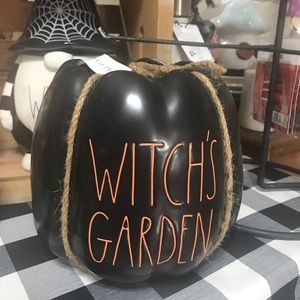 Rae dunn pumpkin planter